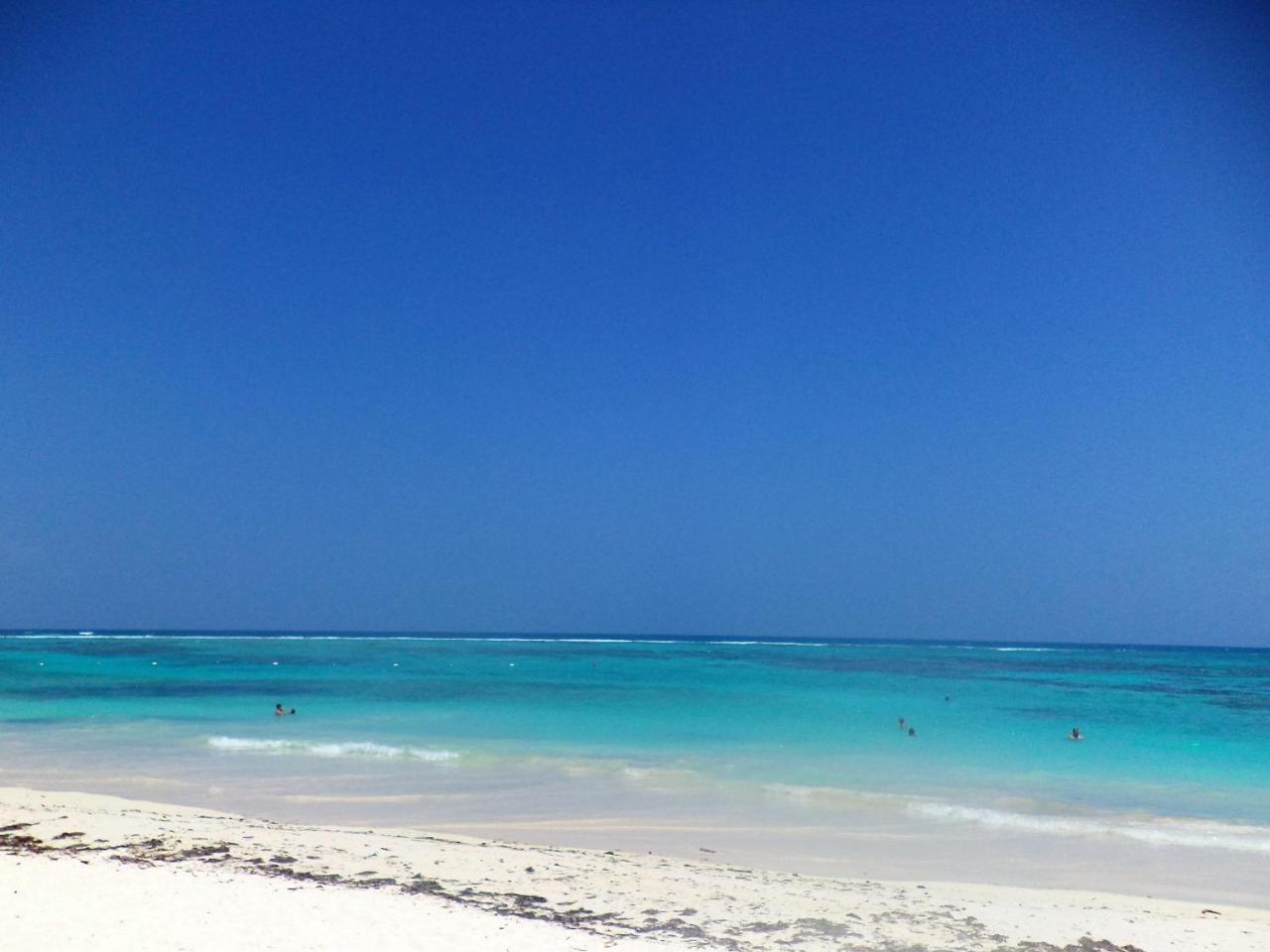 Rentalife Playa Playa del Carmen Buitenkant foto